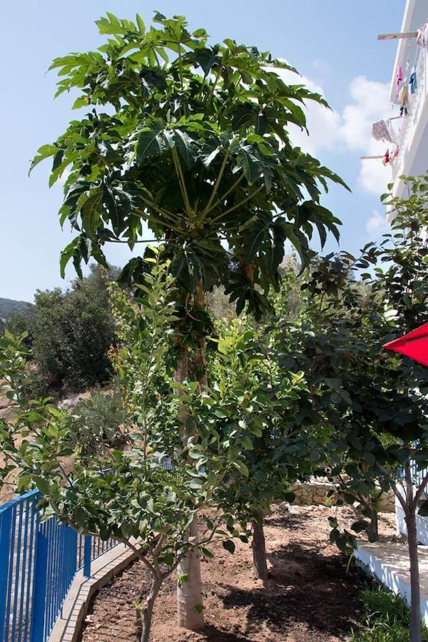 Sunshine Center * Karpathos Town (Pigadia)